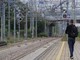 Genova, guasto a treno merci: ritardi fino a 60 minuti, coinvolta l'Alta Velocità