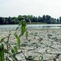Agosto mese più caldo mai registrato, estate più rovente di sempre per l'Europa occidentale Agosto mese più caldo mai registrato, estate più rovente di sempre per l'Europa occidentale