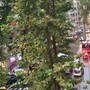 Bomba d'acqua su Roma, il maltempo colpisce la capitale dopo mesi di afa record Bomba d'acqua su Roma, il maltempo colpisce la capitale dopo mesi di afa record