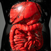 Malattia di Crohn, solo 1 paziente su 3 riceve supporto nutrizionale