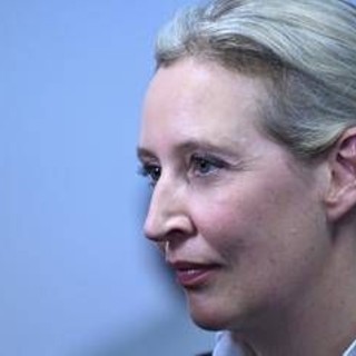 Germania, sondaggio incorona Afd: primo partito con 25%