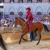 Palio Siena, la Contrada della Torre vince la quarta prova Palio Siena, la Contrada della Torre vince la quarta prova