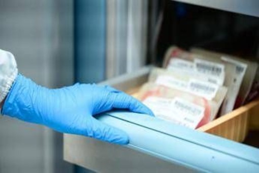 Tumori, risultati positivi per combinazione orale in leucemia mieloide acuta