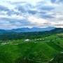 Cina, Consiglio di Stato registra progressi nella lotta alla povertà Cina, Consiglio di Stato registra progressi nella lotta alla povertà