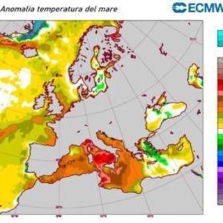 Mare rovente, il Mediterraneo si scalda per la 'Marine Heatwave': cos'è il fenomeno