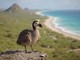 Jurassic Park sarà realtà? &quot;Così facciamo rinascere dodo e mammut&quot;