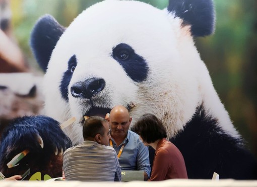 Cina, in aumento dell’11,3% i ricavi dell’industria pubblicitaria Cina, in aumento dell’11,3% i ricavi dell’industria pubblicitaria