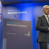 Food, il mercato ittico retail italiano cresce ancora: oltre 4 miliardi di euro nel 2026 Food, il mercato ittico retail italiano cresce ancora: oltre 4 miliardi di euro nel 2026