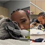 Hamilton, il cane Roscoe è malato: &quot;Ha la polmonite, ora è in coma&quot;