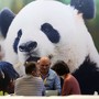 Cina, in aumento dell’11,3% i ricavi dell’industria pubblicitaria