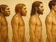 Ricerca, 'così sono scomparsi i Neanderthal': lo svela uno studio a guida italiana Ricerca, 'così sono scomparsi i Neanderthal': lo svela uno studio a guida italiana