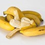 Buccia di banana frullata in acqua, la 'ricetta' per curare le piante Buccia di banana frullata in acqua, la 'ricetta' per curare le piante