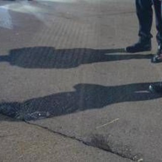 Sedicenne ucciso a Capizzi, mercoledì i tre fermati davanti al gip per la convalida