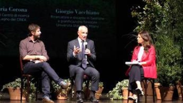Corona (Crea): &quot;Da situazione ambientale e geopolitica impatti su forniture del legno&quot;