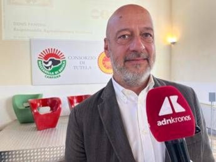 Made in Italy, Saccani (Mozzarella di Bufala Campana Dop): "Innovare per restare tradizione" Made in Italy, Saccani (Mozzarella di Bufala Campana Dop): "Innovare per restare tradizione"