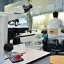 Ricerca, in Italia nel 2024 autorizzati 669 studi clinici: "Serve nuovo modello per ridefinire valore dati sanitari"