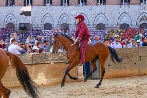 Palio Siena, la Contrada della Torre vince la quarta prova Palio Siena, la Contrada della Torre vince la quarta prova