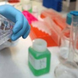 Tumori, in Europa mortalità maschile in calo del 7,8%: in Italia 15 mesi per le nuove terapie Tumori, in Europa mortalità maschile in calo del 7,8%: in Italia 15 mesi per le nuove terapie