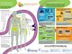 World Hormone Day, AME accende i riflettori sugli interferenti endocrini