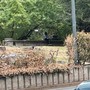 Milano, nuova aggressione ai Bastioni di Porta Venezia dopo la rissa: "Ormai è zona di crack"