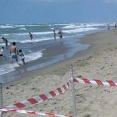 Moria di pesci a Torvajanica e Ardea, controlli ﻿sul litorale