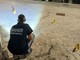 Trani, rissa tra giovani. Diciottenne muore accoltellato Trani, rissa tra giovani. Diciottenne muore accoltellato