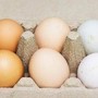Uova bianche o marroni, quali sono migliori? Ecco cosa dice la scienza
