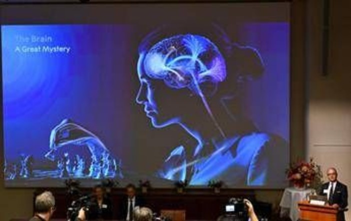 Un’alga e una luce blu: così è nata la scoperta che ha vinto il Nobel per la Medicina 2026 Un’alga e una luce blu: così è nata la scoperta che ha vinto il Nobel per la Medicina 2026
