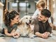Assicurazioni per animali, da Poste coperture veterinarie su misura per ogni necessità