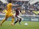 Torino-Pisa 2-2, doppietta di Moreo poi la rimonta granata