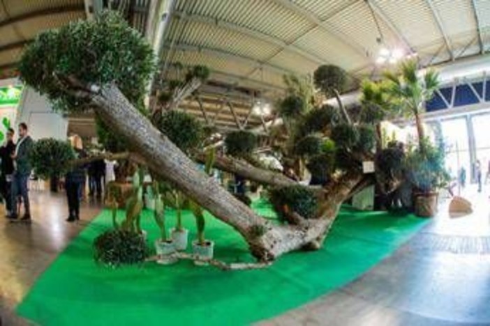Myplant&amp;Garden, X edizione dal 18 al 20 febbraio 2026 a Fiera Milano Rho