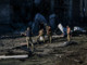 Notte di attacchi incrociati tra Mosca e Ucraina Notte di attacchi incrociati tra Mosca e Ucraina