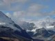 I corpi di cinque sciatori ritrovati sulle Alpi svizzere