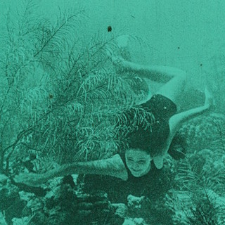Wonder of sea