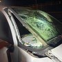 Operaio investito e ucciso su A14, denunciato automobilista positivo all'alcol test