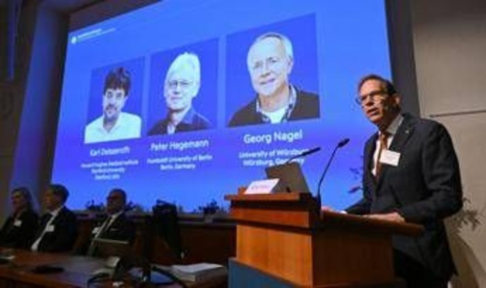 Nobel per la Medicina a Karl Deisseroth, Peter Hegemann e Georg Nagel