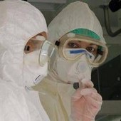 Virus Shamonda, Lopalco: "È favorito da crisi climatica, svegliamoci" Virus Shamonda, Lopalco: "È favorito da crisi climatica, svegliamoci"