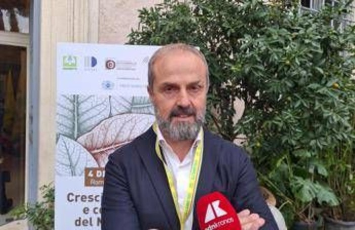 Tabacco, Masiello (Unitab Europa): "Filiera italiana modello vincente da tutelare" Tabacco, Masiello (Unitab Europa): "Filiera italiana modello vincente da tutelare"